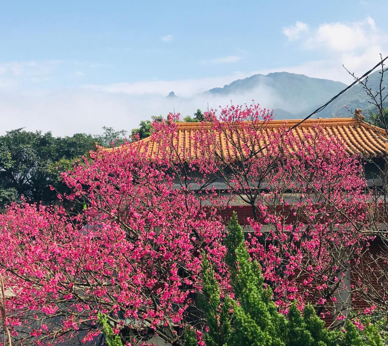 A-Home Jiufen Εξωτερικό φωτογραφία